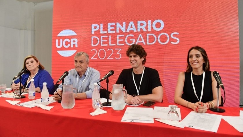 La UCR eligió por unanimidad a Martin Lousteau como presidente