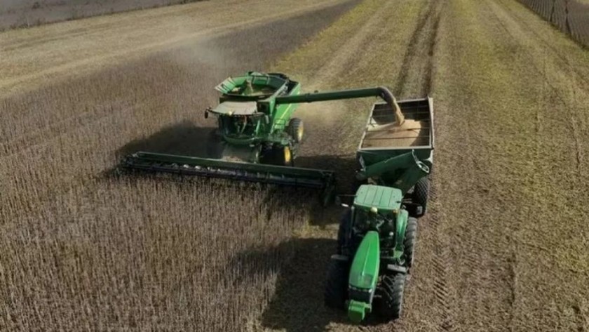 El Gobierno elimina retenciones a los granos hasta el 31 de octubre